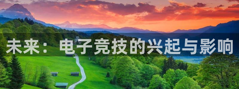 威客电竞客：未来：电子竞技的兴起与影响