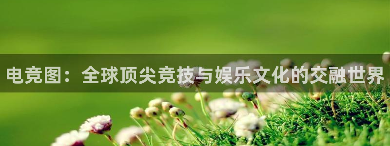 vkgame威客电竞：电竞图：全球顶尖竞技与娱乐文化的交融世界