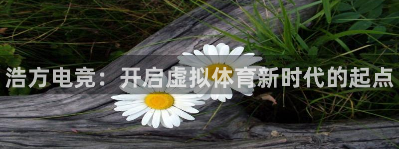 vkgame 威客电竞：浩方电竞：开启虚拟体育新时代的起点