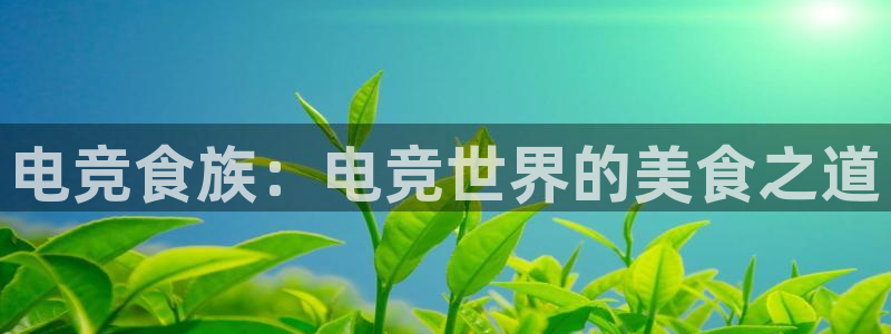 威客电竞：电竞食族：电竞世界的美食之道