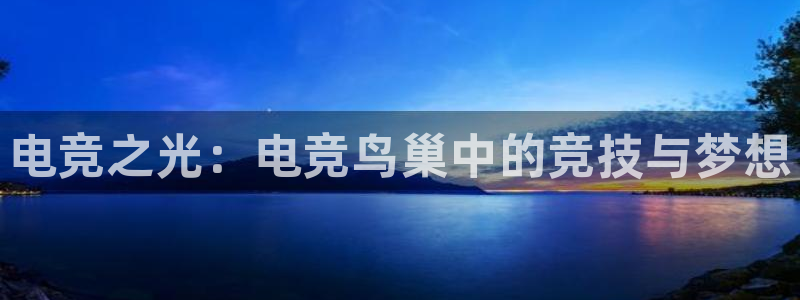 vkgame威客电竞官网：电竞之光：电竞鸟巢中的竞技与梦想