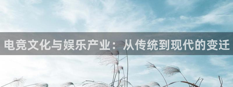 威客电竞客服：电竞文化与娱乐产业：从传统到现代的变迁