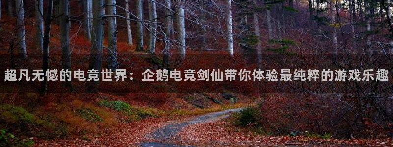 vk威客电竞：超凡无憾的电竞世界：企鹅电竞剑仙带你体验最纯粹的游戏乐趣