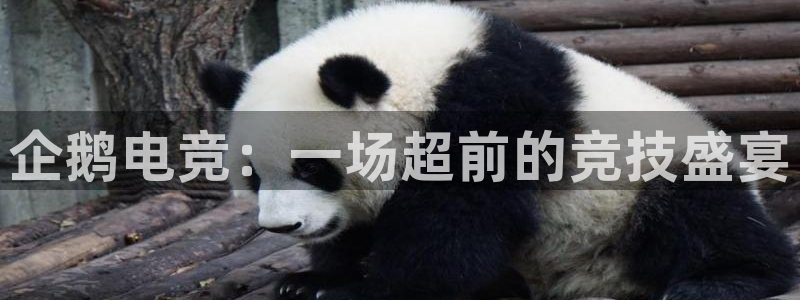 vkgame威客电竞官网：企鹅电竞：一场超前的竞技盛宴