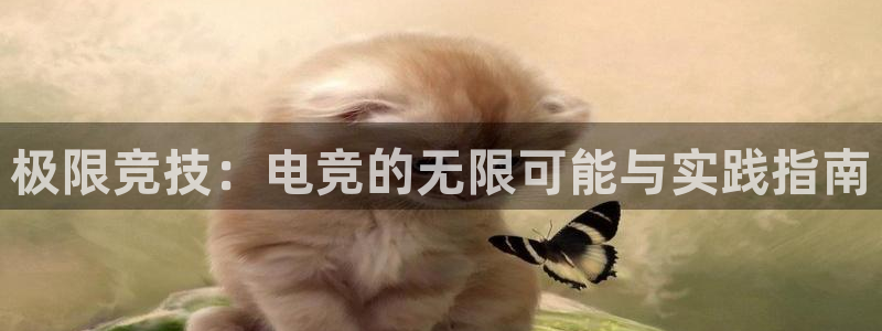vkgame 威客电竞：极限竞技：电竞的无限可能与实践指南