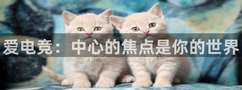 威客电竞网页版入口：爱电竞：中心的焦点是你的世界