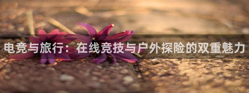 威客电竞vkgame官网：电竞与旅行：在线竞技与户外探险的双重魅力