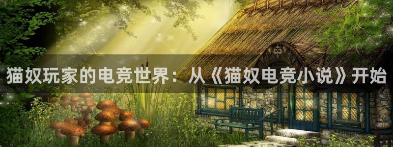 威客电竞官网下载：猫奴玩家的电竞世界：从《猫奴电竞小说》开始