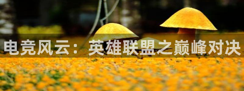 威客电竞官网：电竞风云：英雄联盟之巅峰对决