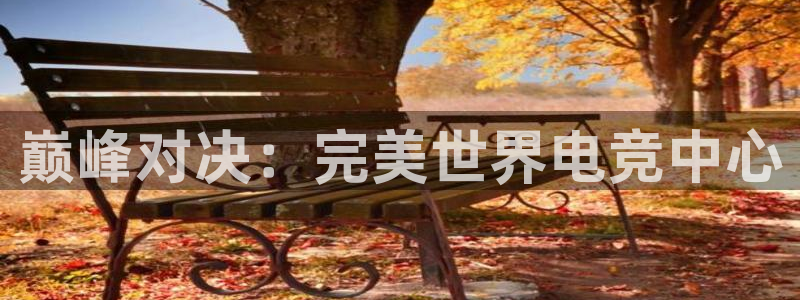 威客电竞vkgame官网：巅峰对决：完美世界电竞中心